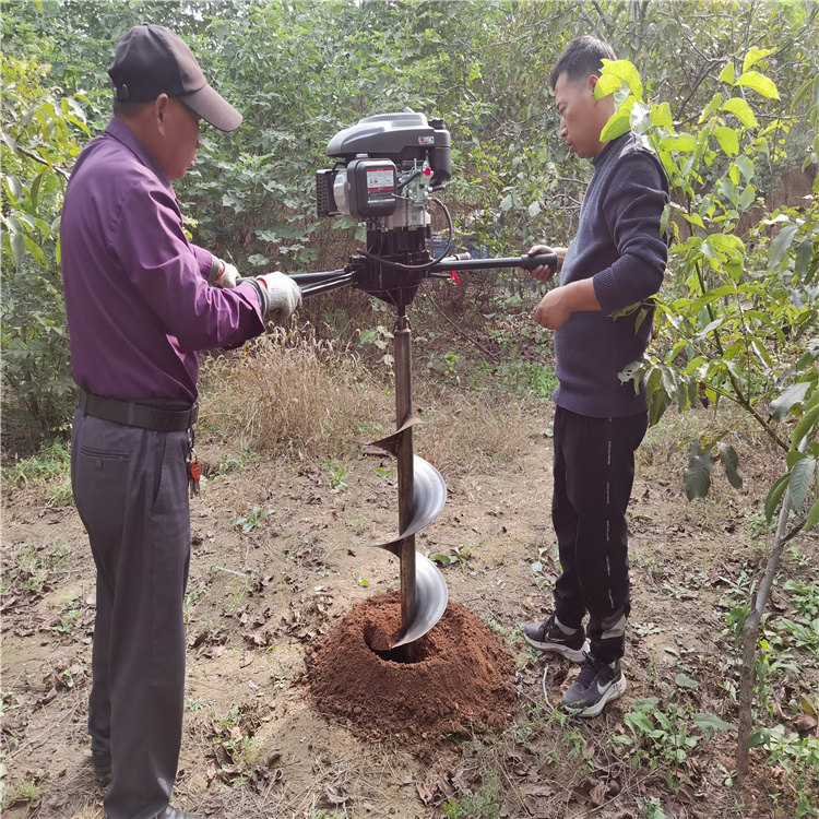 高效手提式植樹挖坑機(jī)